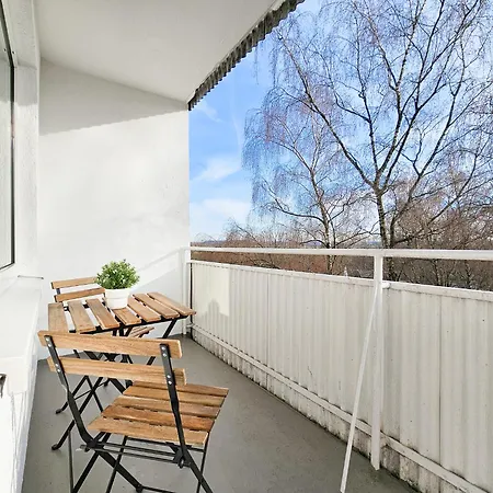 Tolstov - Monteurwohnungen - 3 Schlafzimmer - Kueche - Balkon - Waschmaschine - 25 Min Zur Messe Dus *